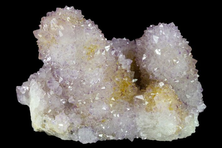 Cactus Quartz (Amethyst) Crystal Cluster - South Africa #134340